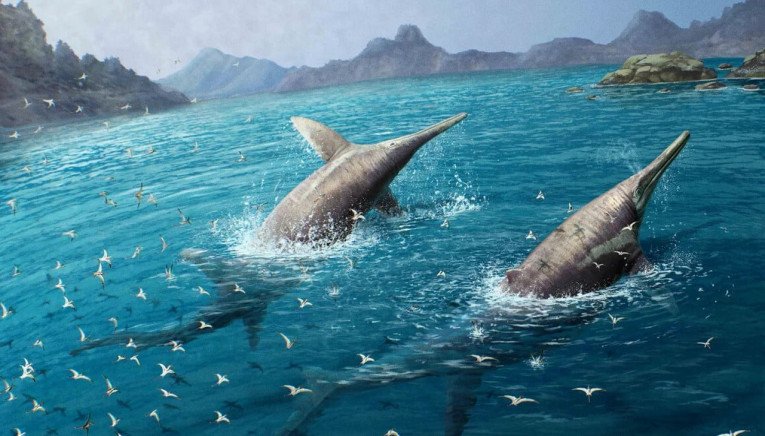11χρονη Βρετανίδα ανακάλυψε απολιθώματα από το μεγαλύτερο θαλάσσιο ερπετό που έζησε ποτέ!