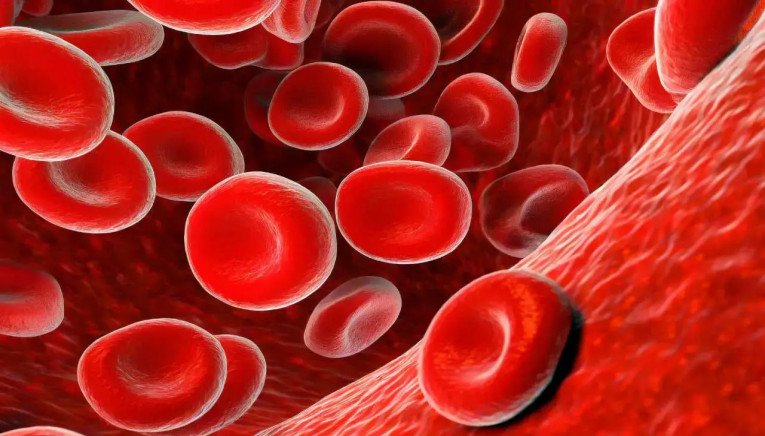 Επιστήμονες ανακάλυψαν βακτήρια βαμπίρ που έλκονται από το ανθρώπινο αίμα