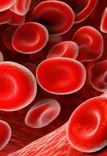 Επιστήμονες ανακάλυψαν βακτήρια βαμπίρ που έλκονται από το ανθρώπινο αίμα