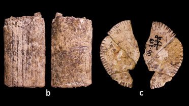 Οι επιστήμονες πιστεύουν ότι ανακάλυψαν τα πρώτα ζάρια που χρησιμοποίησε ποτέ άνθρωπος