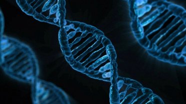 Επιστήμονες ανάκτησαν DNA 50.000 ετών