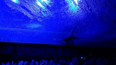Fuerza Bruta - Look Up Image 01