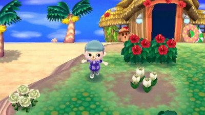 Animal Crossing: New Leaf Image 04