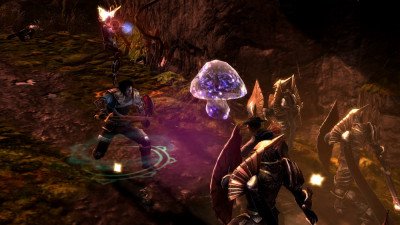 Dungeon Siege III Image 03