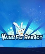 Kung Fu Rabbit
