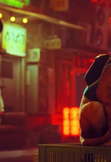 Stray Nintendo Switch 2 Review