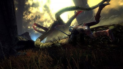 The Witcher 2: Assassins of Kings Image 10