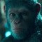 Το 2024 θα κάνει πρεμιέρα η ταινία Kingdom of the Planet of the Apes