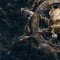 Η Ubisoft αποκαλύπτει πλάνα για δεύτερη season του Skull and Bones
