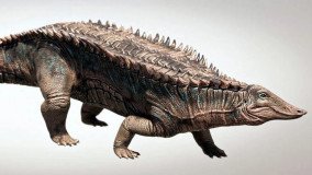 Ανακαλύφθηκε συγγενής των κροκόδειλων που έζησε πριν από εκατοντάδες εκατομμύρια χρόνια