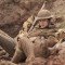 Before Dawn: Ένας νεαρός στρατιώτης βιώνει τη σκληρή πραγματοκότητα του πολέμου (trailer)