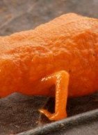 Αυτός ο μικροσκοπικός πορτοκαλί βάτραχος εντοπίστηκε στα δάση της Βραζιλίας