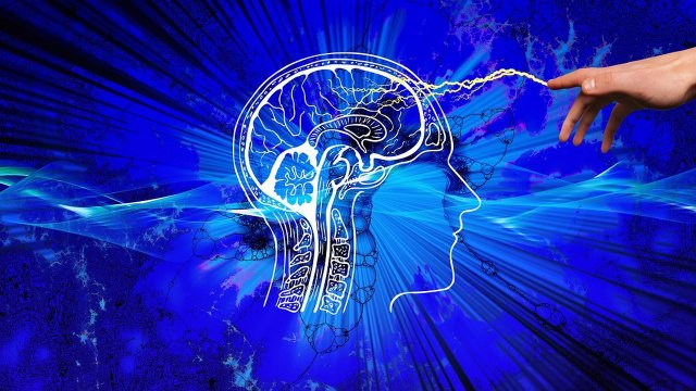 Η διαλειμματική νηστεία (fasting) φαίνεται να αλλάζει δυναμικά τον ανθρώπινο εγκέφαλο