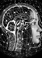 Challenge accepted: μπορείς να ανακαλύψεις πότε κάνει λάθος η τεχνητή νοημοσύνη;