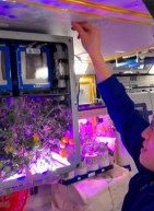 Κινέζοι αστροναύτες φυτεύουν ντομάτες στο διάστημα!