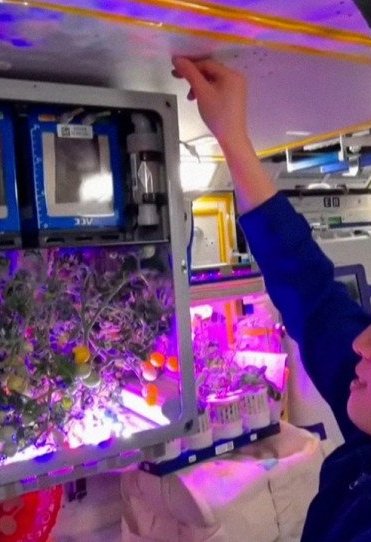 Κινέζοι αστροναύτες φυτεύουν ντομάτες στο διάστημα!