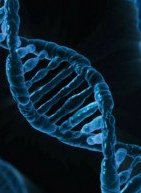 Επιστήμονες ανάκτησαν DNA 50.000 ετών