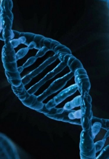 Επιστήμονες ανάκτησαν DNA 50.000 ετών