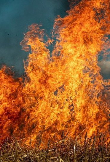 ΗΠΑ: 24 χιλιάδες θάνατοι το χρόνο από τον καπνό που προκαλούν οι πυρκαγιές