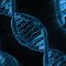 Επιστήμονες ανάκτησαν DNA 50.000 ετών