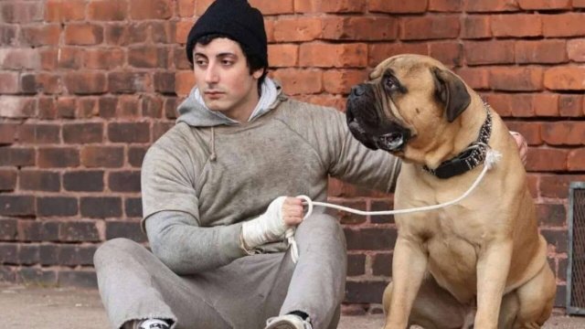 Ο Anthony Ippolito μεταμορφώνεται σε Sylvester Stallone στο I Play Rocky (trailer)