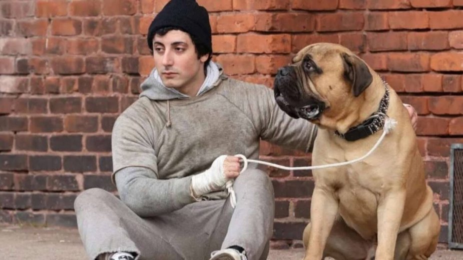 Ο Anthony Ippolito μεταμορφώνεται σε Sylvester Stallone στο I Play Rocky (trailer)