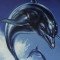 Ανακοινώθηκε το Ecco the Dolphin: Complete