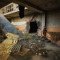 Κυκλοφόρησε το νέο update Sealed Truth του S.T.A.L.K.E.R. 2: Heart of Chornobyl