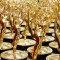 Τα Emmy Awards μετακομίζουν στο Prime Video από το 2027