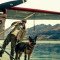Ο Brad Pitt παλεύει με τους λύκους στην Αλάσκα στο Heart of the Beast (trailer)