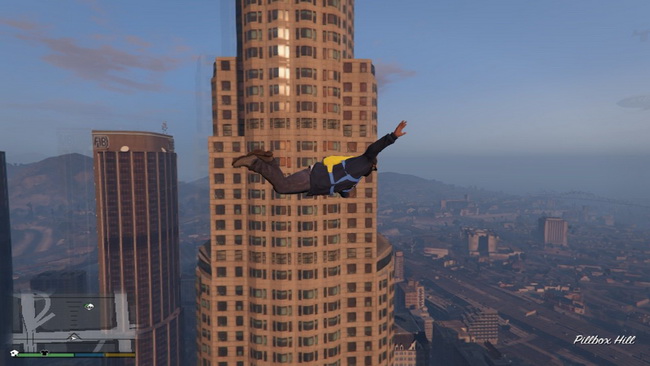 Nice Fly