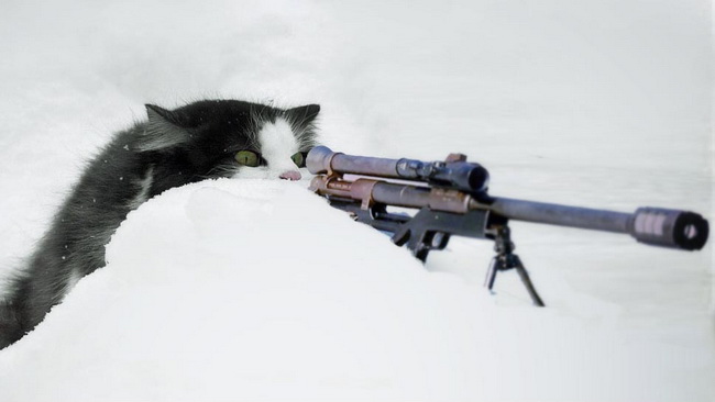 Battlefield 1943: Sniper Shot taking down plane