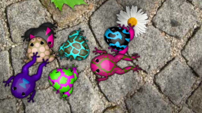 Pocket Frogs