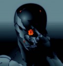 GrayFox