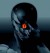 GrayFox