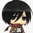 mikasa