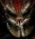 predator7