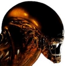 alien33